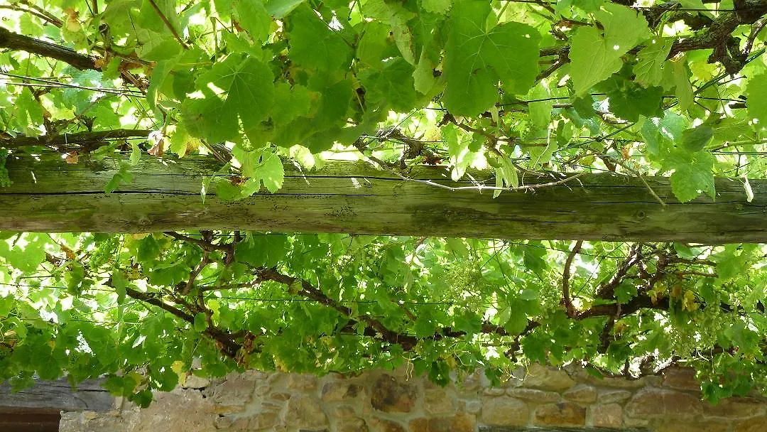 Holiday home Altamira - Basque Stay Azquizu